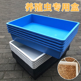 ��̖���ϴ󷽱P���z�P�\�P�z�P���ߺ��ķ��P���ϱP��ͯɳ�P�Ӻ���