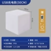 Charging model 50cm
