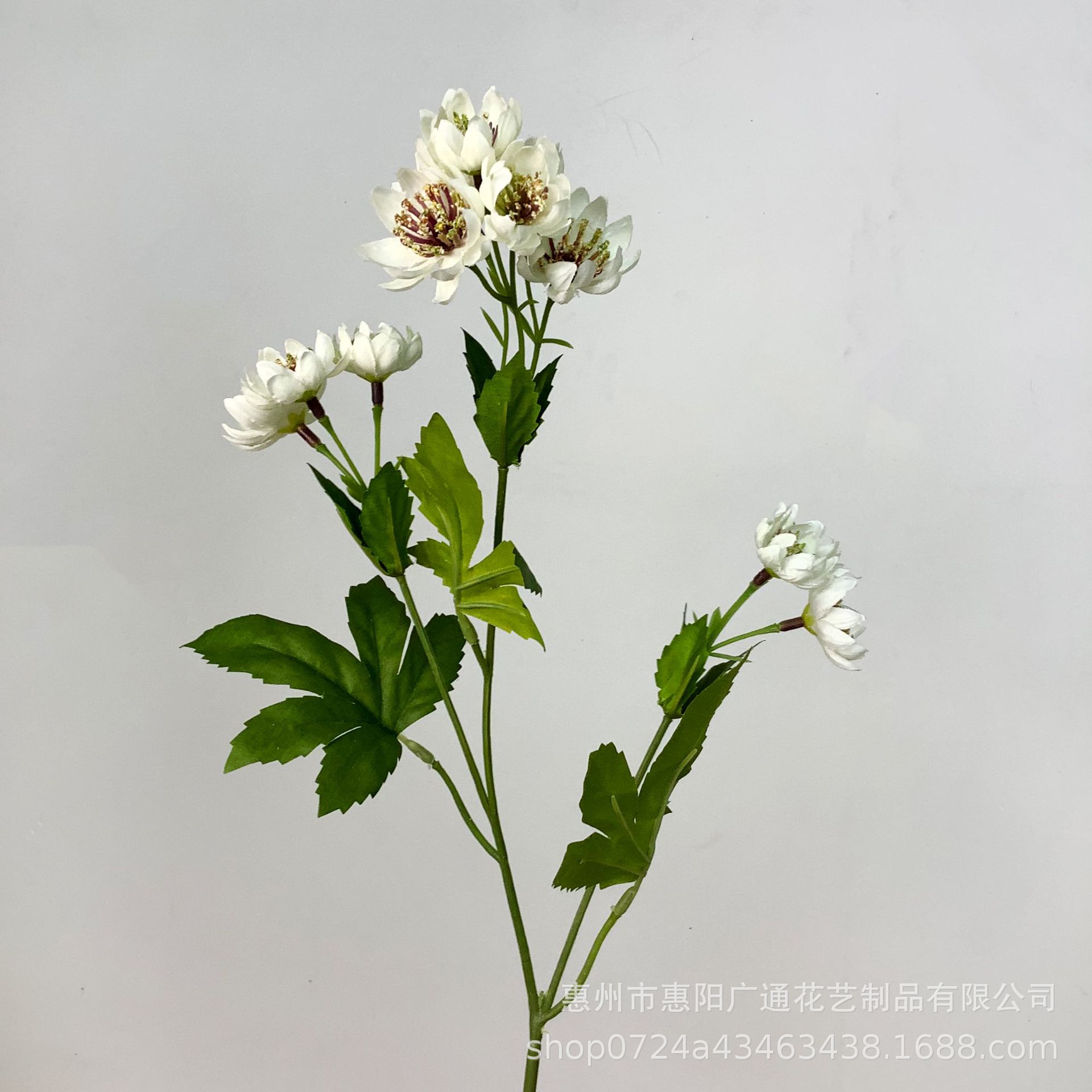 하얀색
