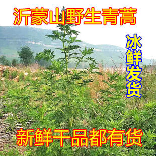 ���r�����S���Ʒ���������ݼ��~�S�����������κ���؛��؛