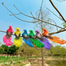 �S�ҬF؛������ĭС�Bģ�ͻ��@ͥԺ�����׃��@�b�β�B�A�ӿ�