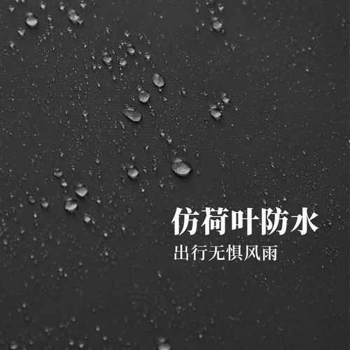 2025 Spring New Black Outdoor Waterproof Hiking Pants Men's Softshell Windproof Rainproof Trekking and Mountaineering Work Pants