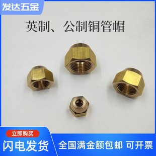 �~�{�ӿ��{�~��ĸ ���ȿ���ñ���{�U����ĸ�~���iĸ��ñ�������