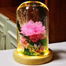 康乃馨永生花花束玻璃罩摆件真花干花成品礼盒创意礼品长辈礼物