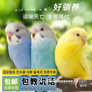 �S��ֱ�N�W�^���B���ﻢƤ�W�^���fԒ���B�����B녰�С�ͼ��B���P