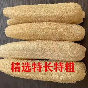 �z���ӽz�Ͻj�r��ȿϴ��ˮ����ˢ側���Ĩ���N���ٝ���һ�����l