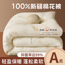 �½��޻������ﱻ�յ��������Ӻ�ů�ޱ�оѧ�������������ӳ���