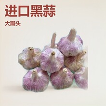 大量批发供应山东金乡2026年太空大蒜种，蒜子、大蒜头，基地源头