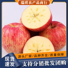 �½������K�O��5�����l��������ɽ�O�����]���rˮ���O��һ�����l