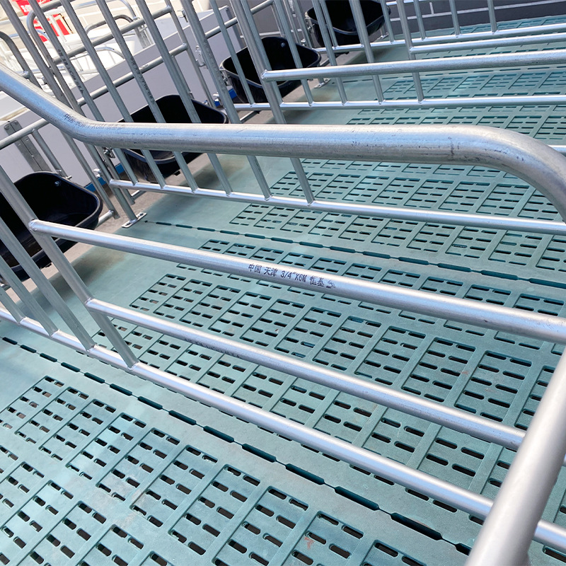 Tipo de piso simple barra de cama de parto gruesa barra de posición de cerdas galvanizadas en caliente barra de posición de cerdas con placa de estiércol equipo de cría