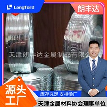 高硬度Q195折叠截断调直镀锌扁线 镀锌铁线 口罩鼻梁镀锌扁线