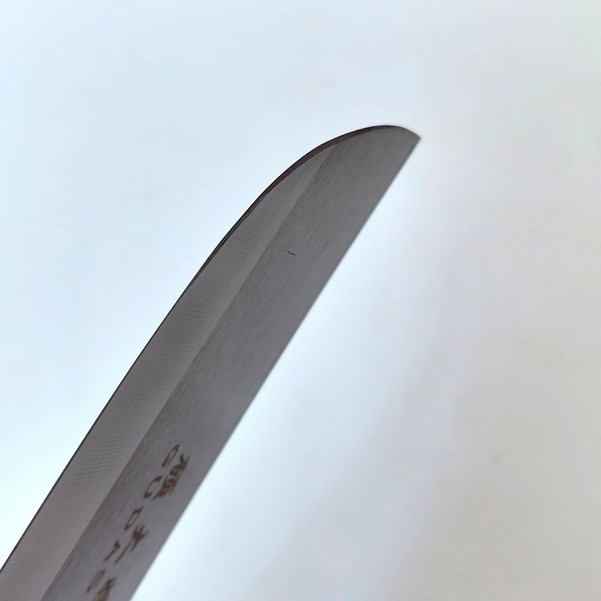 微信图片_20240525161901