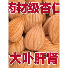 新疆特产甜杏仁原味不添加熟南杏仁新货大颗粒坚果仁烘焙零食