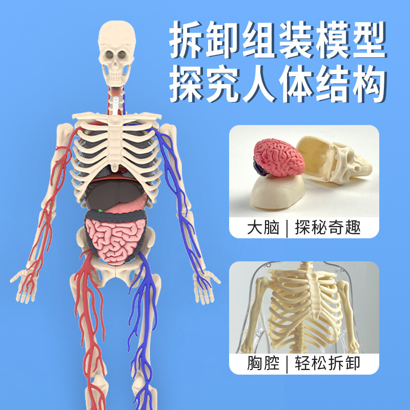 stem