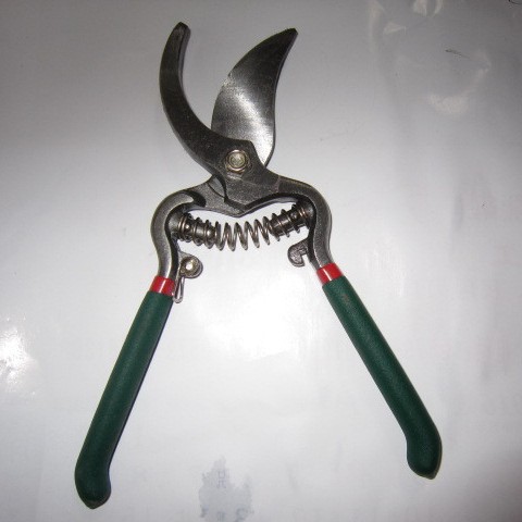 销售8寸铁把连头果树剪树枝剪盆景粗枝果园粗枝剪刀园适用园艺剪