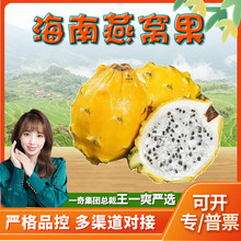 【严选】海南燕窝果代发5斤新鲜甜糯麒麟果当季水果非红心火龙果