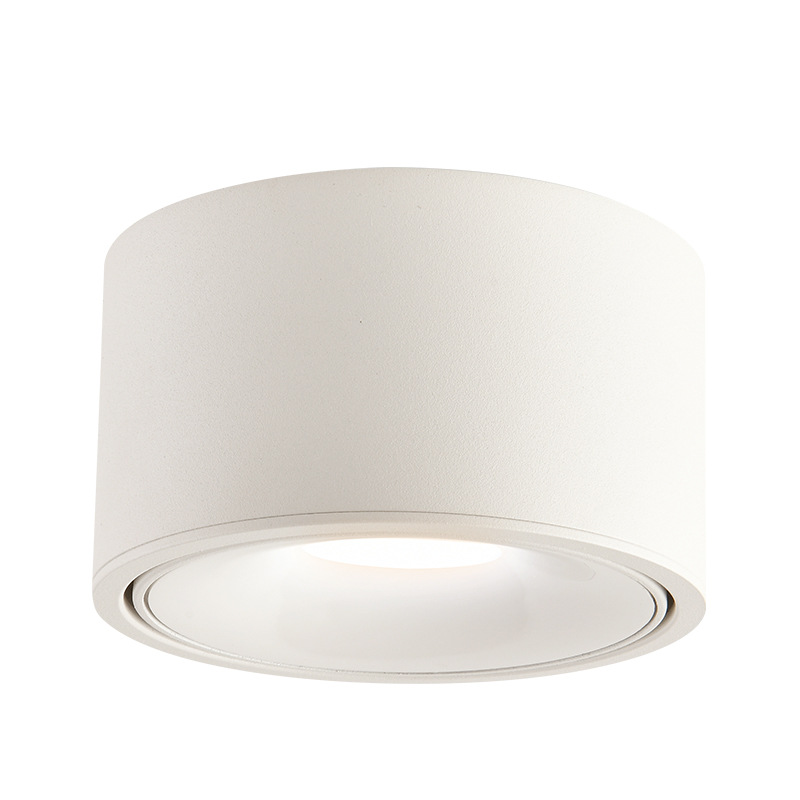 Da Guan Jardín luz de reflector anti-deslumbramiento colina sala de estar sin luz principal luz de techo downlight led corredor luz de techo 495L image 5
