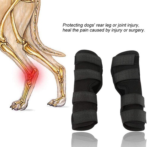 Dog Knee Guards Pet Dog Leg Wraps Protective Knee and Elbow Leg Guards Anti-Licking Suit Protective Feet Magic Straps Factory Direct Sale