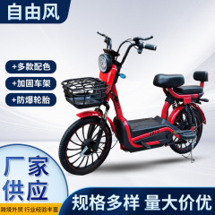 成人代歩電気自動車日常通勤48v電気自動車自由風電動自転車メーカーの供給源