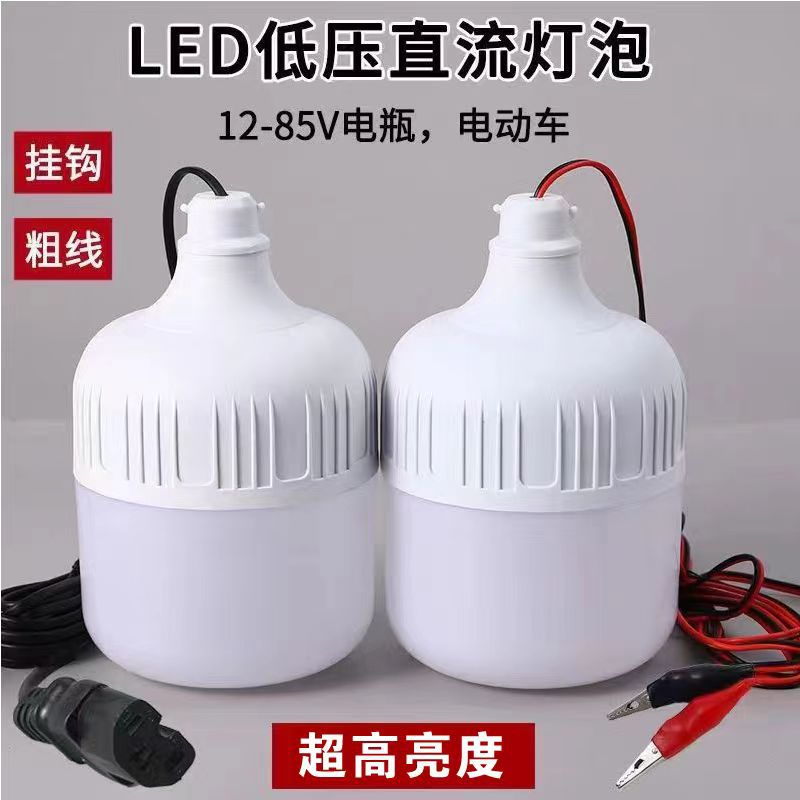 12V36V48V60V电瓶灯摆地摊夜市灯船用电动车专用低压直流LED灯泡