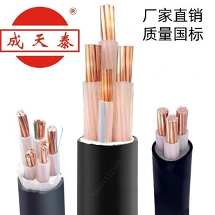 ̩늾|ZC-YJV22-3*25+1*16mm2zb|ȼ~о|