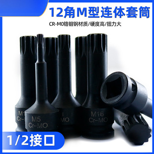 1/2늰����L���^���b���޹���������Ͳ������12��÷��M���L�ښ��