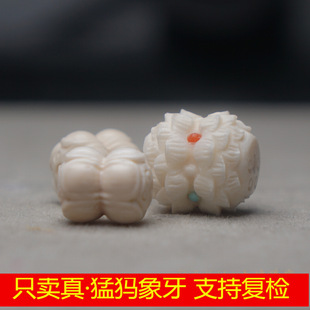 ��Ȼ�ͪw������̼� �p�^ɏ�� ɏ�� DIY����С��� �OӋ�� �֒��