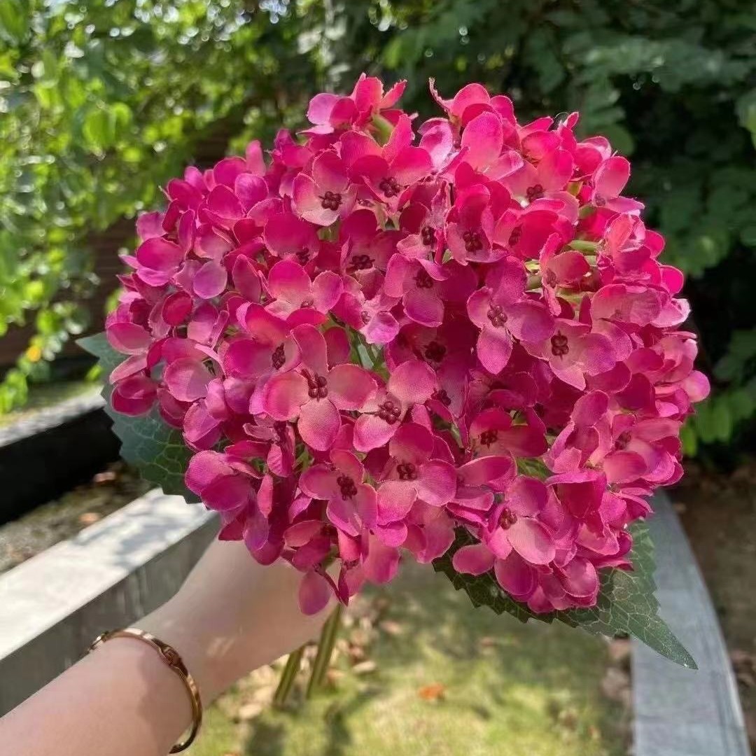 Mancarlo Hortensia Rosa Rojo