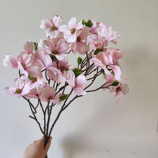 ��Ʒ�| �������ջ� ���ǻ� ��ľ�� �Ĕz���� ����ʽ�Ҿ��b� �Ʒ