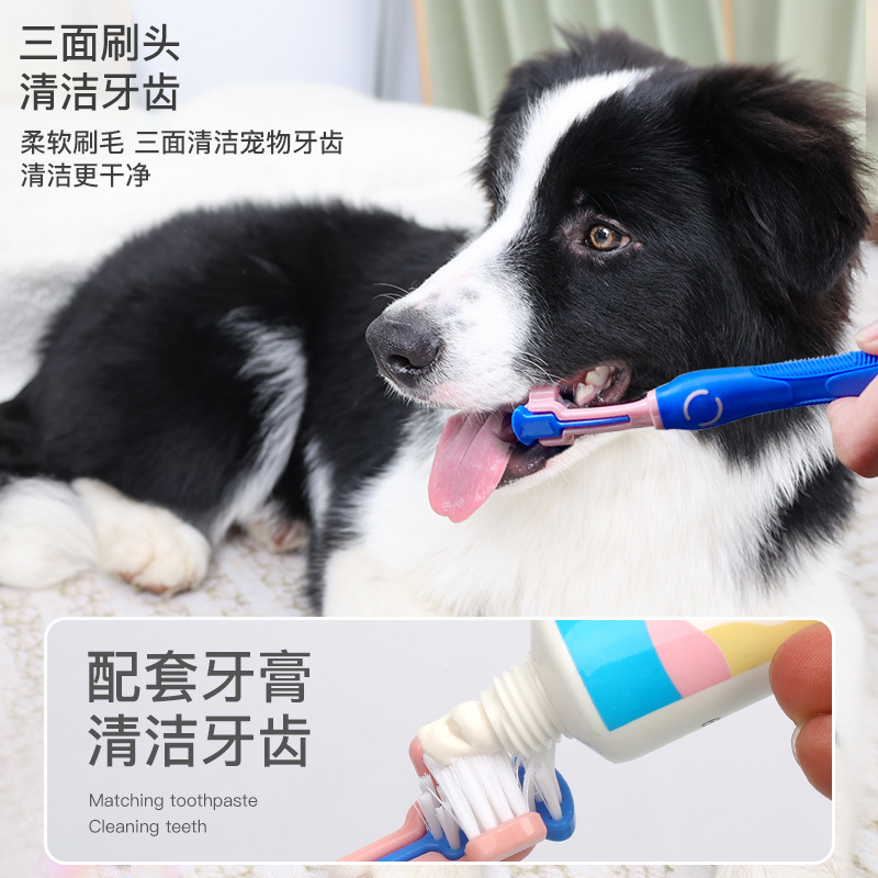 Cepillo de dientes para mascotas, juego de pasta de dientes, cepillo de dientes para perros, cepillo de dientes para gatos, perro, gato, limpieza bucal, cepillado, cepillo de dientes, cepillo de dientes de tres cabezas al por mayor