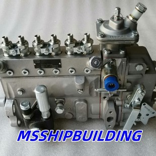 Weichai fuel injection pump