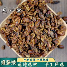 凡一堂雄蚕蛾原蚕蛾雄蚕蛾雄蚕蛾粉自然晾晒道地选材可无痕发货
