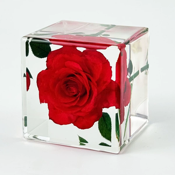 5CM cube rose