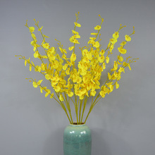 5���S�������m���l �������滨 �����m�Ҿ��bٻ� ��Y�廨����