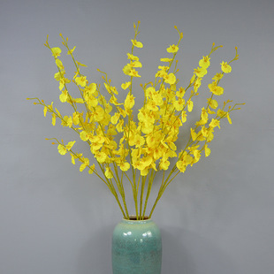 5���S�������m���l �������滨 �����m�Ҿ��bٻ� ��Y�廨����