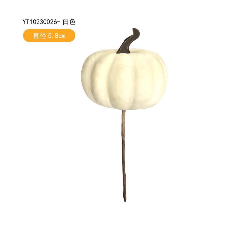 YT10230026-White (직경 5.8cm)