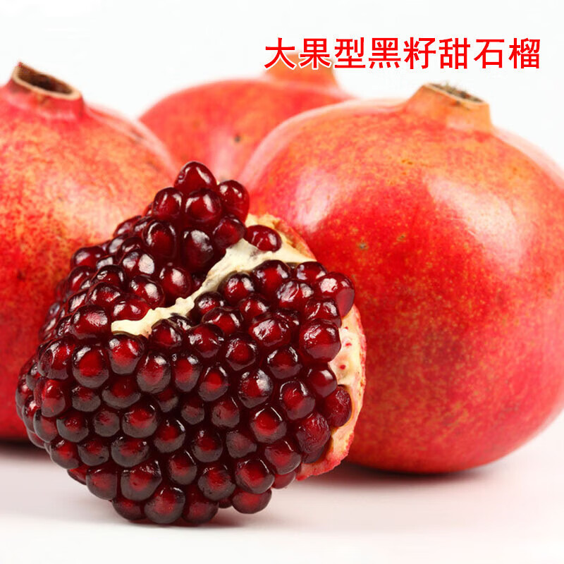 石榴苗石榴树苗无籽突尼斯软籽石榴苗果树苗南方北方种植盆栽地栽