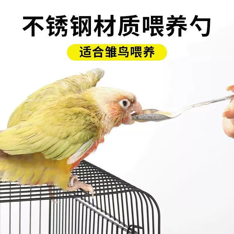 Кормушка для попугая