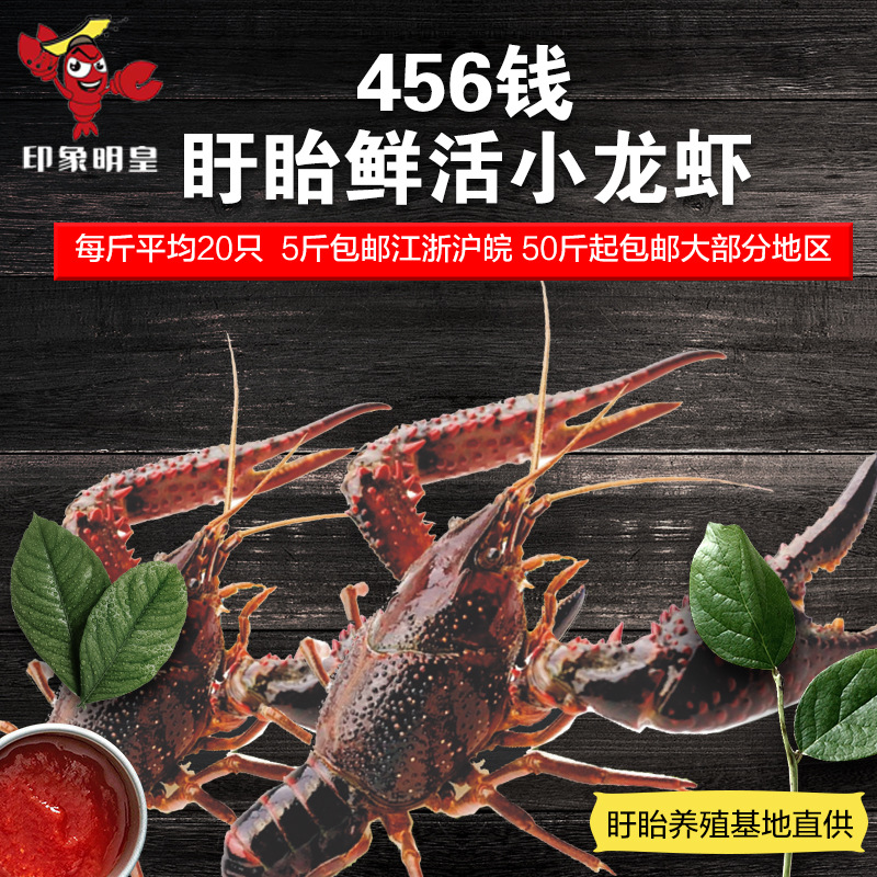 456 Fresh Xuyi Sanxiang Crayfish 5 Xuyi Fresh Aquatic products breed Shimizu Crayfish