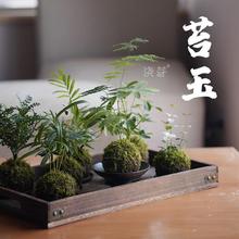 ̦������ʽ̦�\��Ҹ��Ғ�ֲ���P���Ԕ[���U��΢�辰