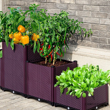 陽台種植箱架高種菜專用箱庭院花盆樓頂蔬菜高腳塑料種花盆神器