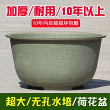 ��̖�A�μӺ��͕�˯ɏ�ɻ�ˮ���o���������׻�������Nֲʹ��10��