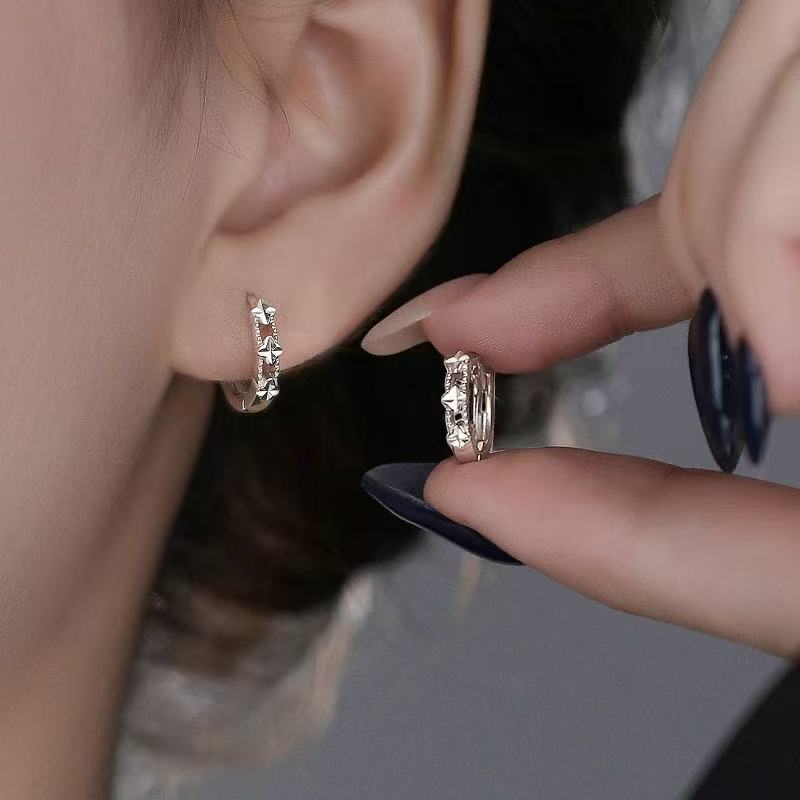Four-leaf clover earrings for women, niche light luxury high-end design, circular earrings, versatile and exquisite for daily commuting