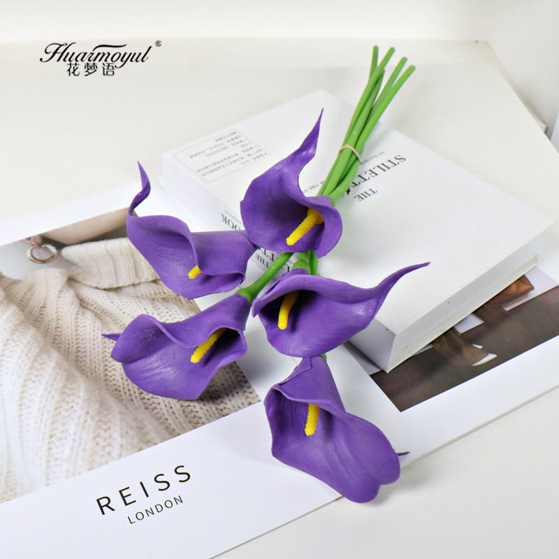 칼라 릴리-퍼플(노란색 코어)