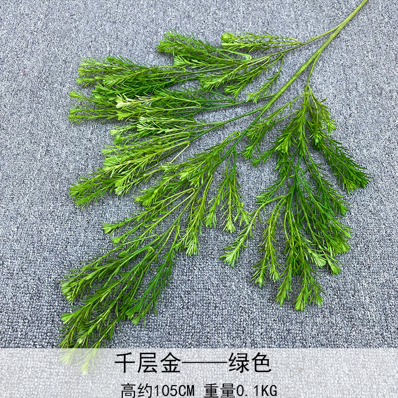千層金シミュレーション緑植高級緑植ウェディングホテル装飾家庭背景生け花列|undefined