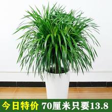 ��횘� ���^��Ѫ�� ���F���҃ȿ͏d���Ի���ֲ���k�����辰������