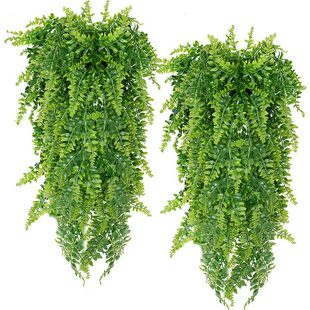 Amazon simulation wall -mounted Persian grass vine artificial suspension fern plant vine hanging green plants