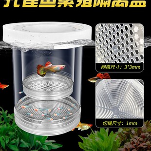 �~�׸��x�п�ȸ�~��ֳ���Pβ���Rĸ�~�a��С�~�׃�̥���~���~����