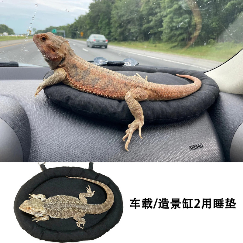 Amazon Lizard Gecko Guinea Pig Rabbit Hamster Car Sleeping Bag Reptile Dual-Use Sleeping Mat Pet Sleeping Bed Amazon Lizard Gecko Guinea Pig Rabbit Hamster Car Sleeping Bag Reptile Dual-Use Sleeping Mat Pet Sleeping Bed