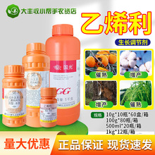 ���� ��ϩ�� �޻��㽶����ˮ��������섩���҄�ƤȥƤ���L�{����